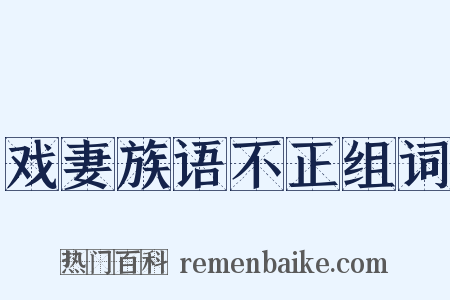 戏妻族语不正组词是什么意思的图片